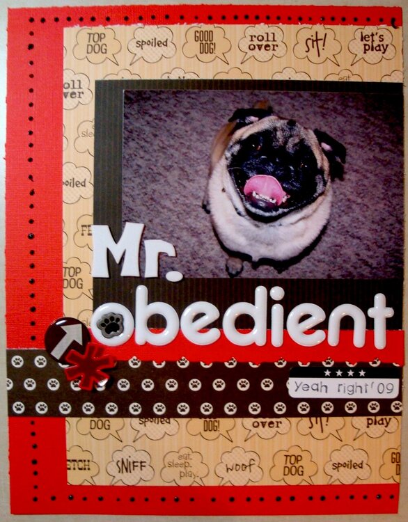 Mr Obedient