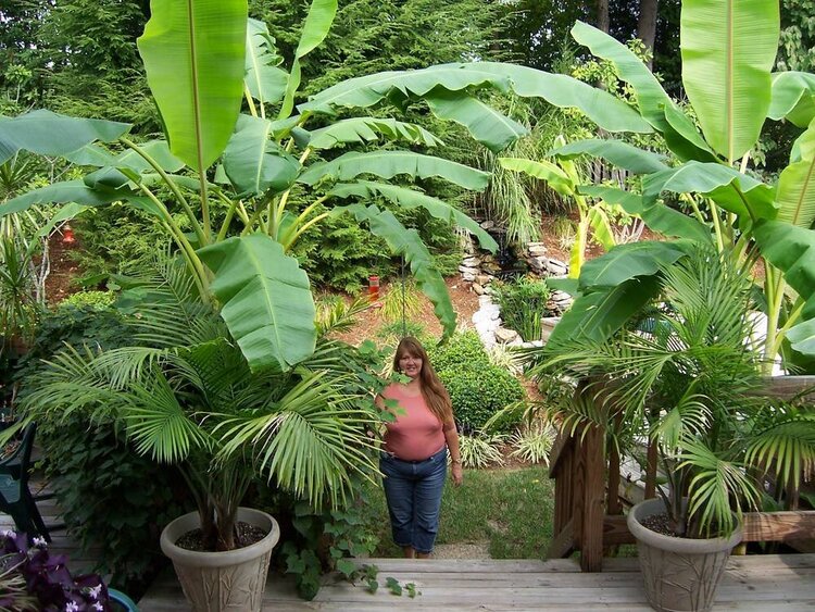 Me and my banana trees