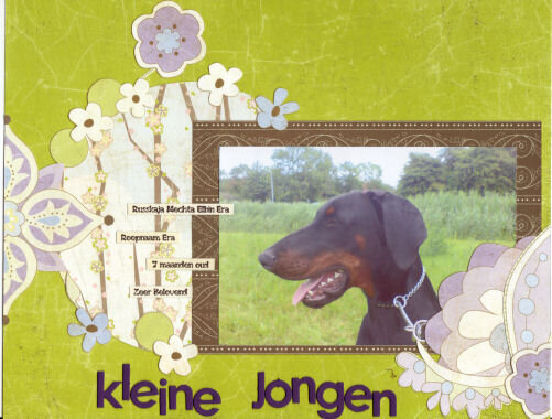 Kleine Jongen