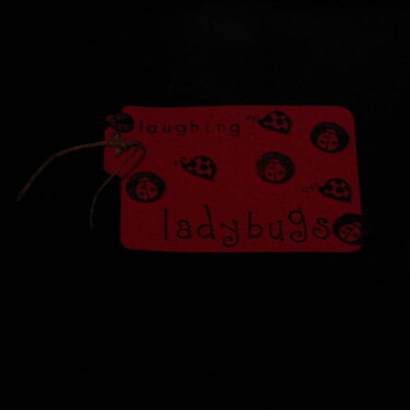 Laughing Ladybugs file folder