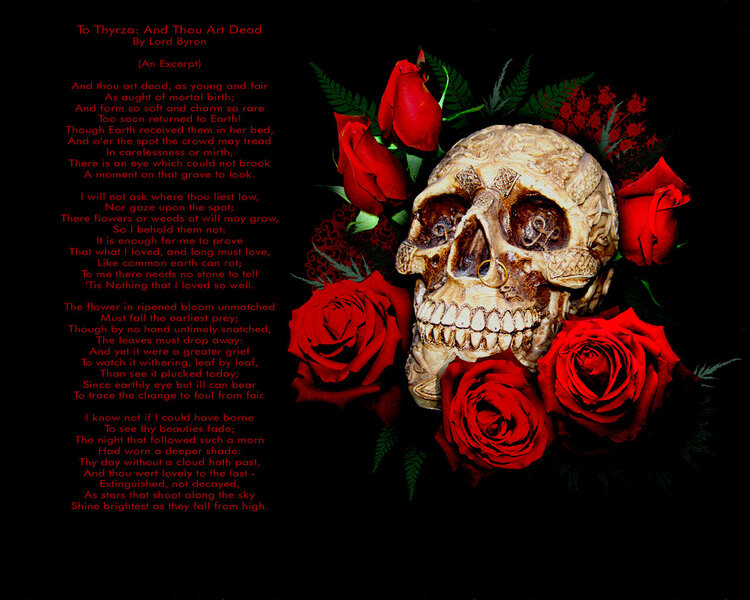 Skull/Roses