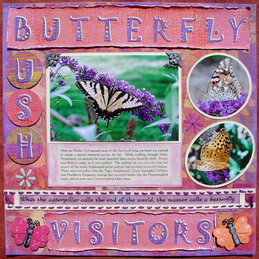 Butterfly Bush Vistors (third entry)