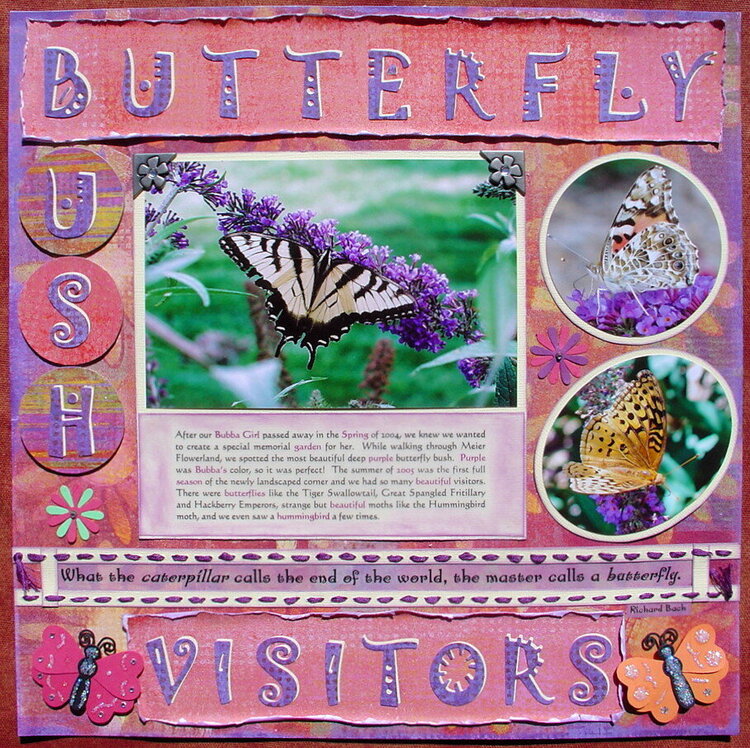 Butterfly Bush Vistors (third entry)