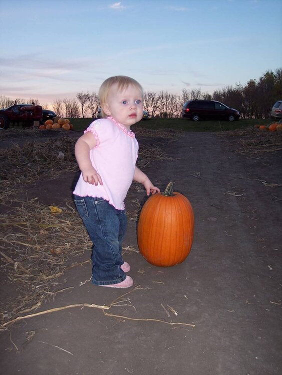 kylee and the pumpkin