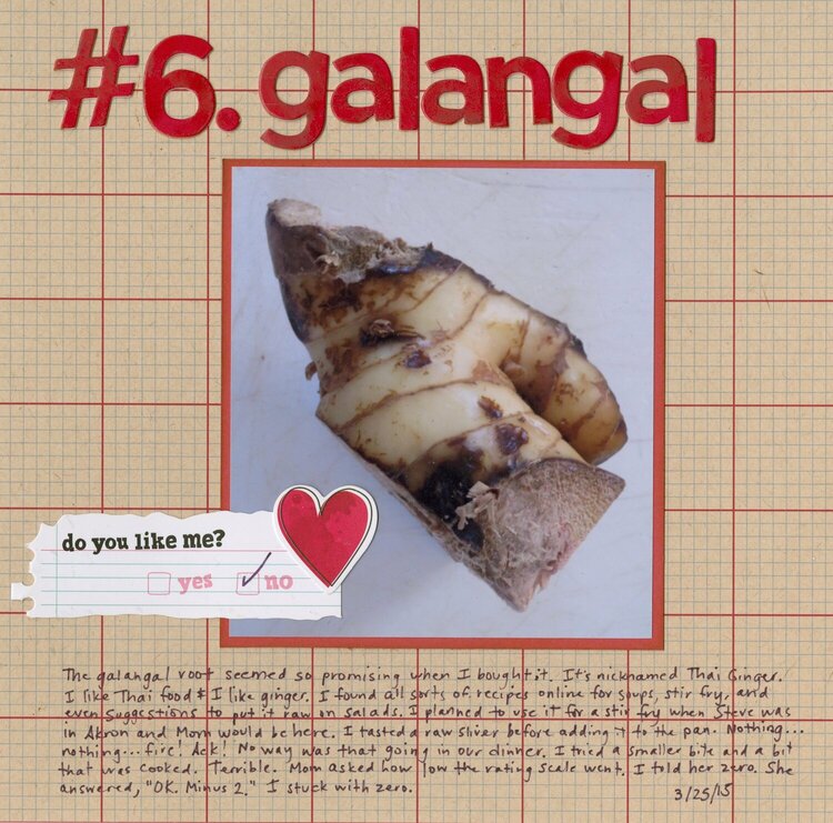 43 New-to-Me: #6 Galangal