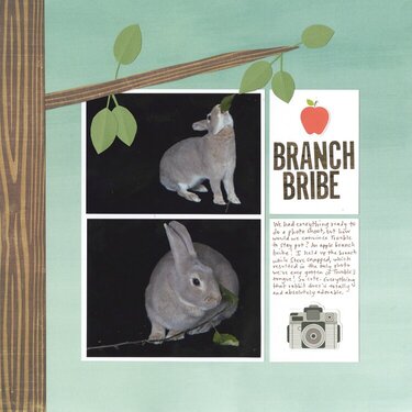 Apple Branch Bribe