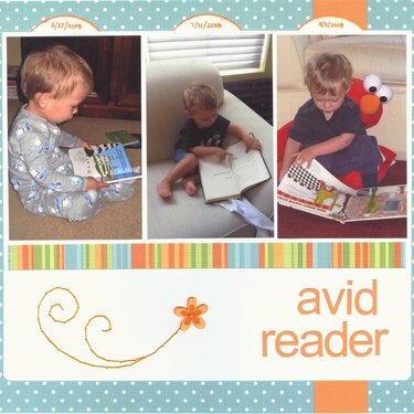 Avid Reader