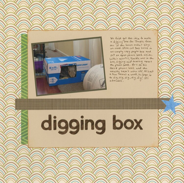 Digging Box