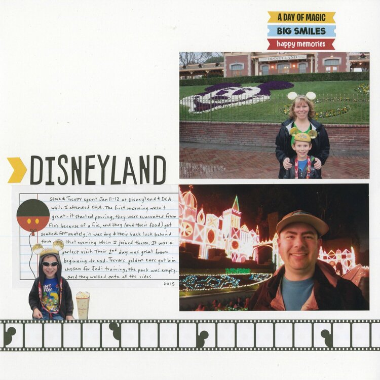 Disneyland, January 2015