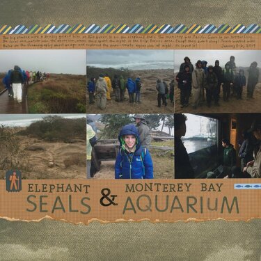 Elephant Seals and Monterey Bay Aquarium