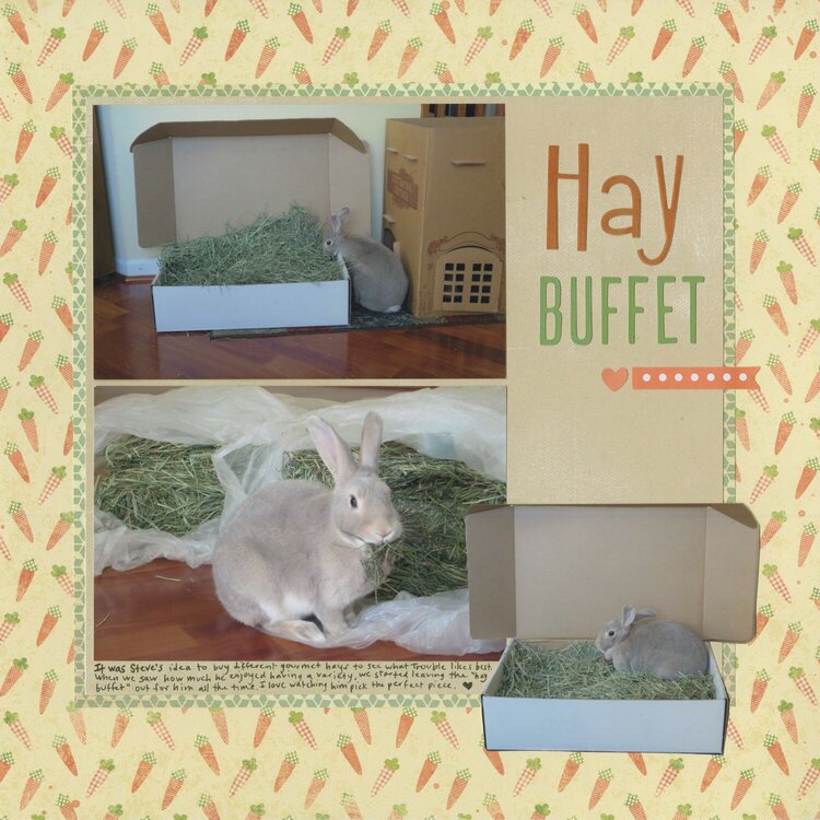 Hay Buffet