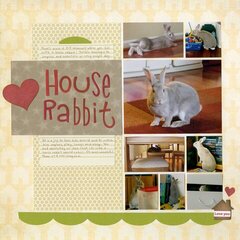 House Rabbit