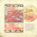 Little Pink Notes