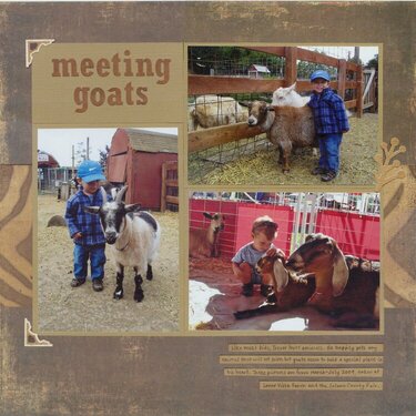 Meeting Goats