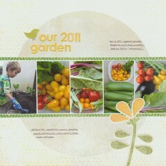 Our 2011 Garden