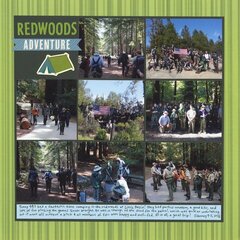Redwoods Adventure