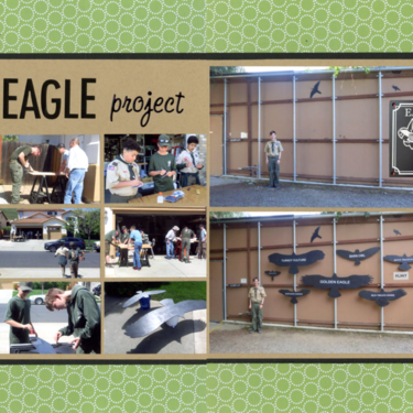 Trevor&#039;s Eagle Project