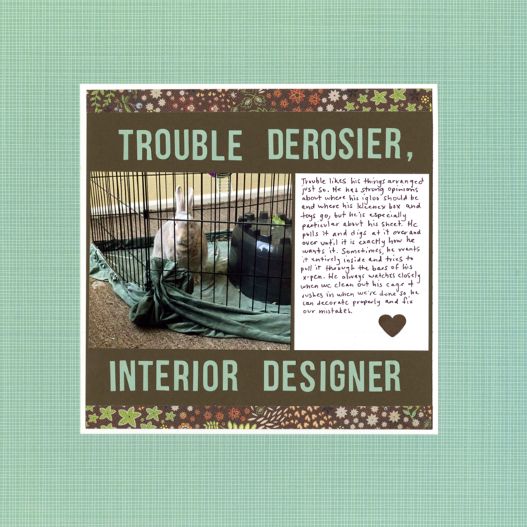 Trouble deRosier, Interior Designer