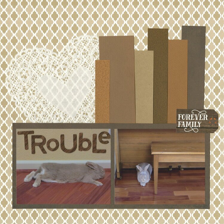 Trouble - Forever Family