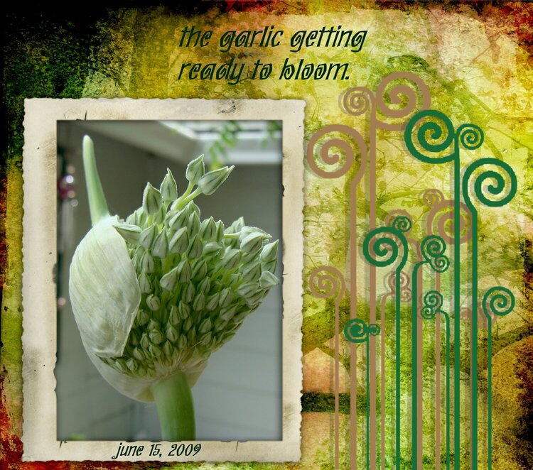 The Bloomin&#039; Garlic