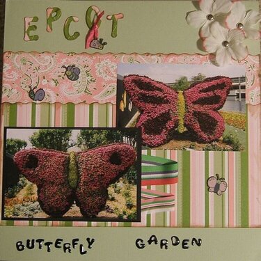 Epcot butterfly Garden