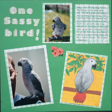 One Sassy Bird