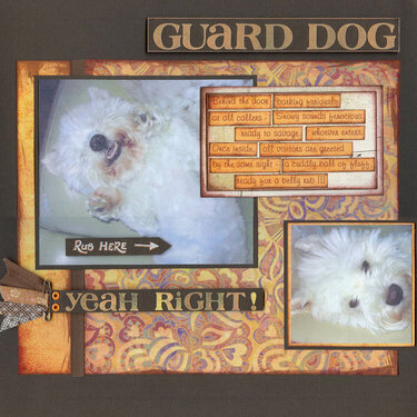 Guard dog - Yeah Right!