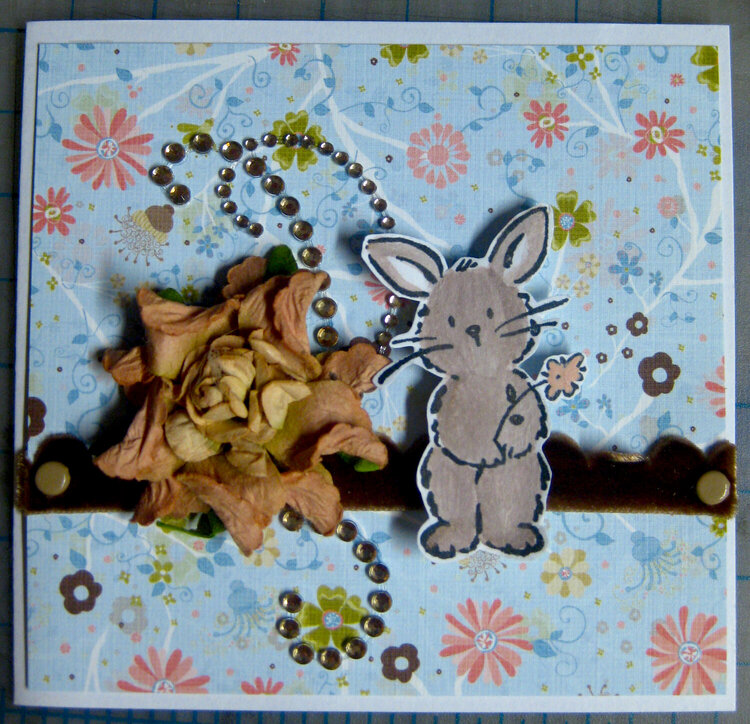 CARD: Bunny