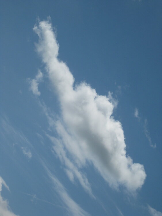 Cloud: Genie&#039;s Lamp