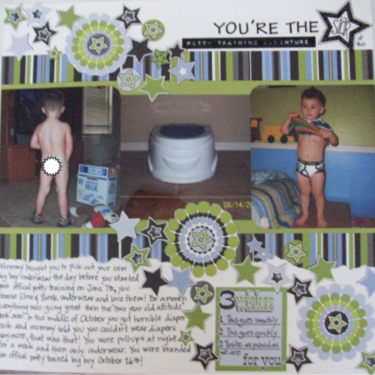 You&#039;re the Star of the Potty Training Adventure