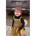 Taylor the bumble bee