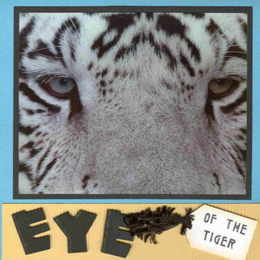 Eye of the Tiger - P1