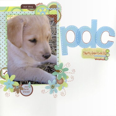 pdc (Pretty darn cute!!)