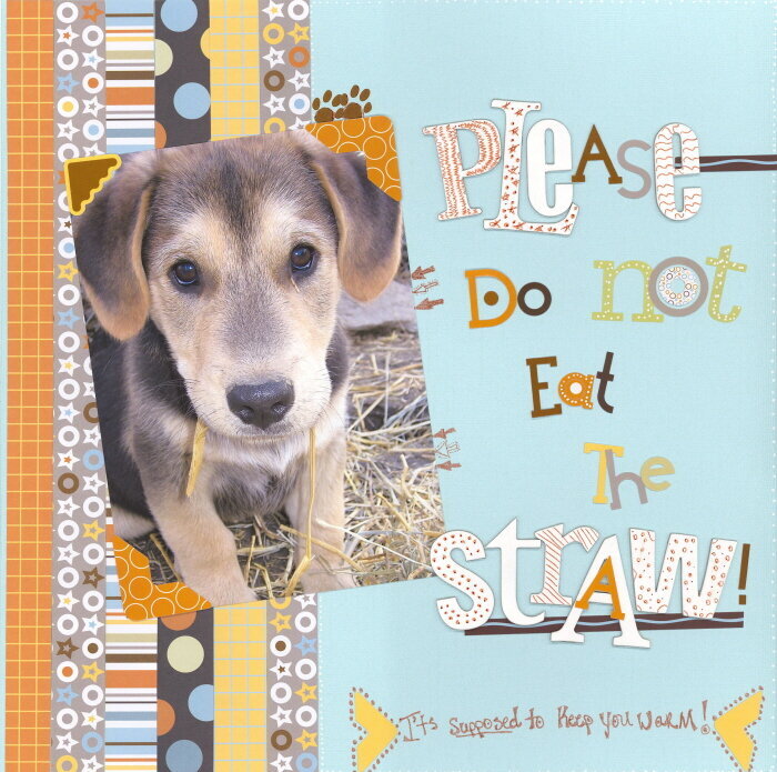 Please do not eat the straw!