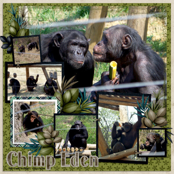 Chimp Eden