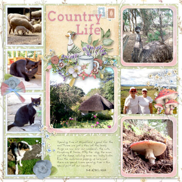2019-04-08_CountryLife