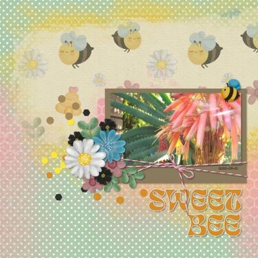 2020-05-31_SweetBee