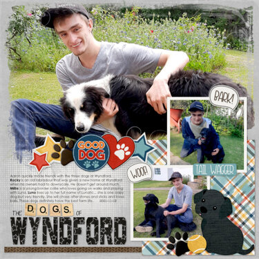 Dogs of Wyndford