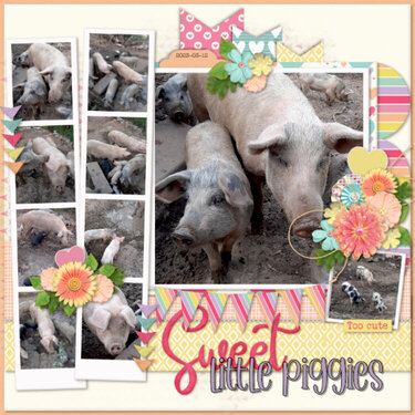 2023-03-12_SweetLittlePiggies