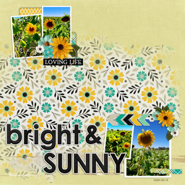 2023-03-13_Bright&amp;Sunny