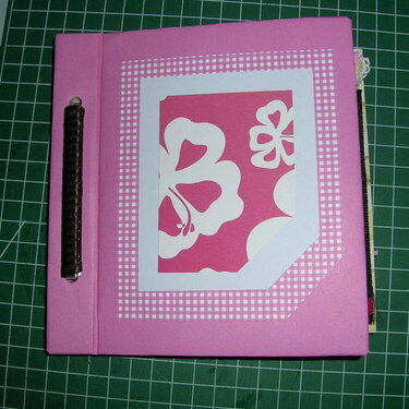 traveljournal, present for a niece