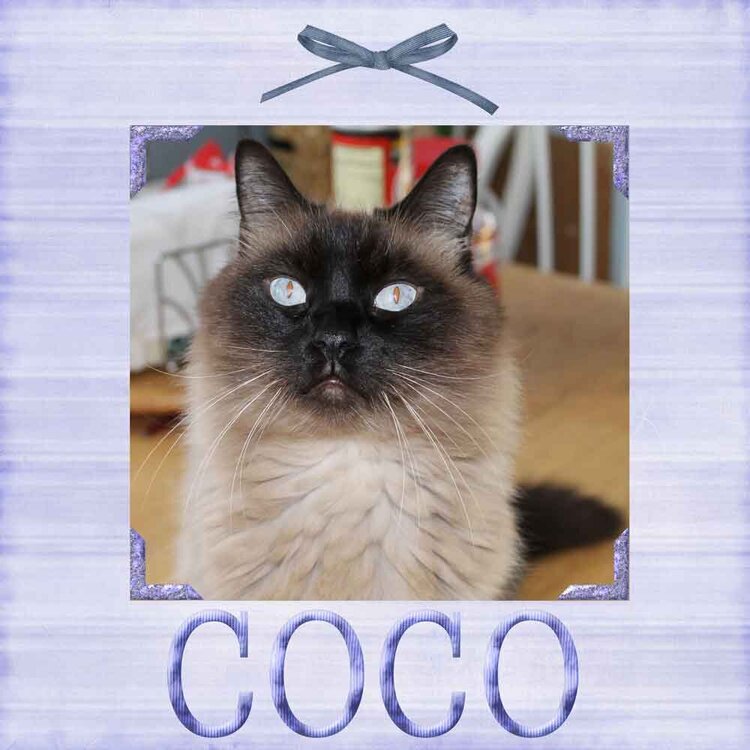 Coco