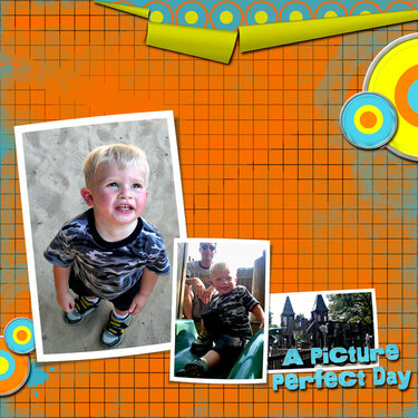 A Picture Perfect Day