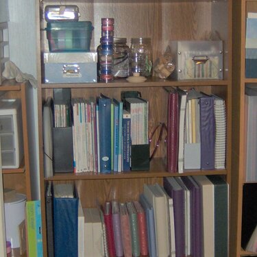 Re-organized Bookcase 1