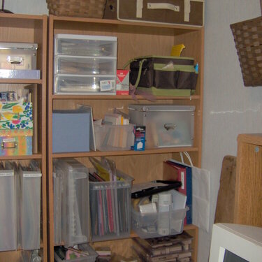 Re-organized bookcase 3