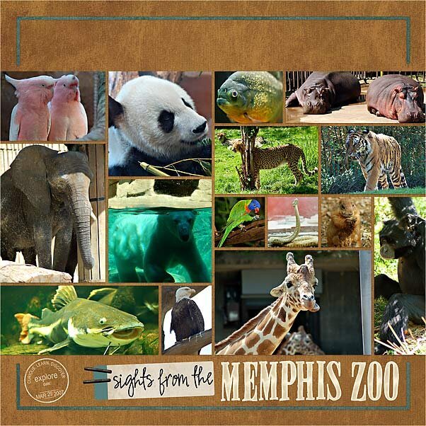 Sights from the Memphis Zoo