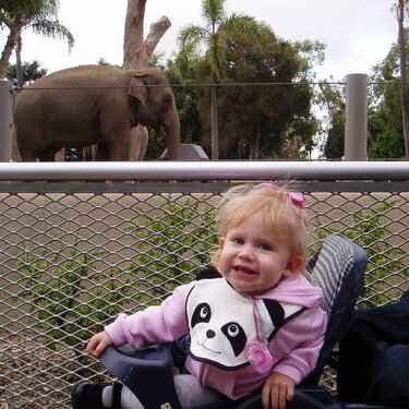 San Diego Zoo November 2005
