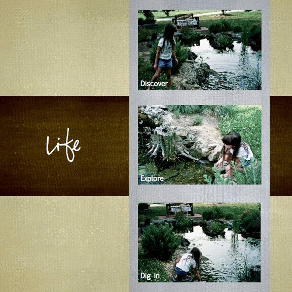 Life-Dig in