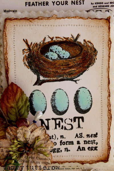 Nest Canvas