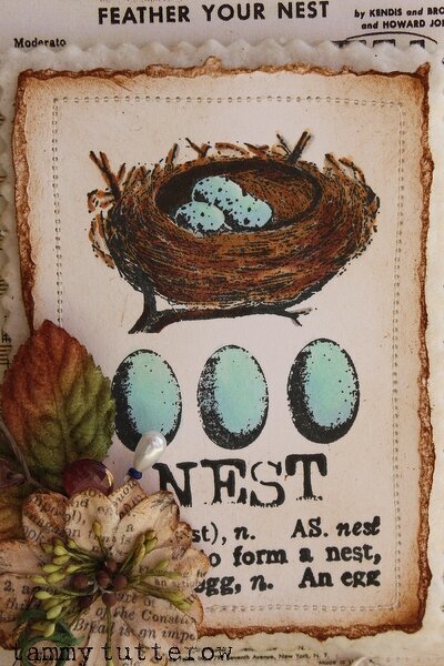 Nest Canvas